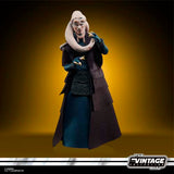 Star Wars The Vintage Collection - Bib Fortuna